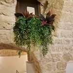 Fico D'india Appartement Bari