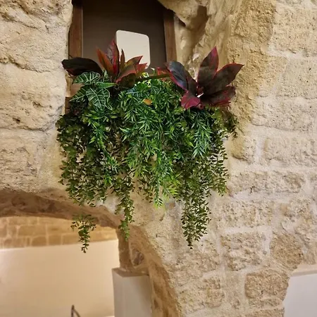 Fico D'india Daire Bari