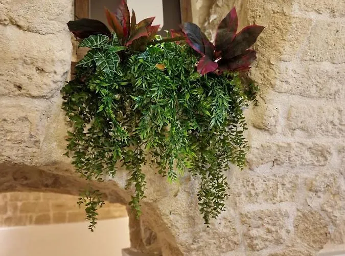 Fico D'india Appartement Bari