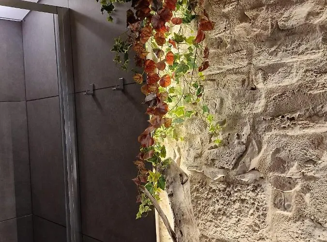 Fico D'india Appartement Bari